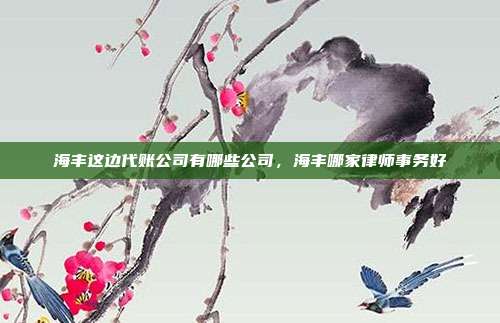 海丰这边代账公司有哪些公司,海丰哪家律师事务好