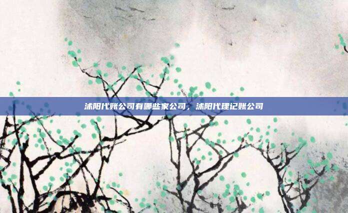 沭阳代账公司有哪些家公司,沭阳代理记账公司