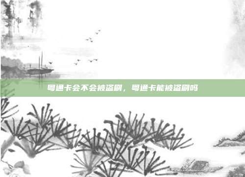 粤通卡会不会被盗刷,粤通卡能被盗刷吗