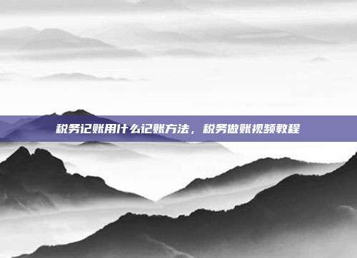 税务记账用什么记账方法,税务做账视频教程