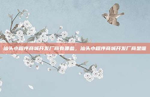 汕头小程序商城开发厂商有哪些,汕头小程序商城开发厂商是谁