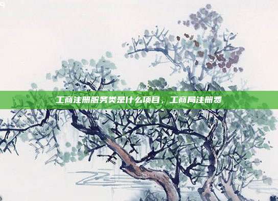 工商注册服务类是什么项目,工商局注册费