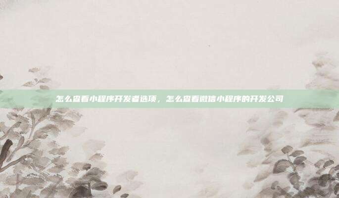 怎么查看小程序开发者选项,怎么查看微信小程序的开发公司