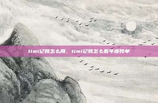 timi记账怎么用,timi记账怎么看年度账单