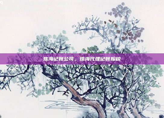 珠海记账公司，珠海代理记账报税