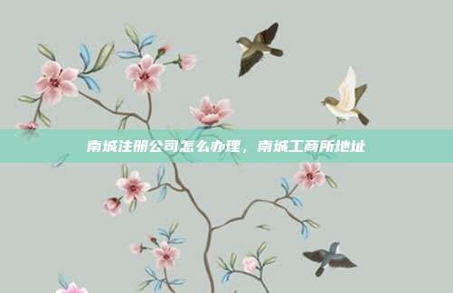 南城注册公司怎么办理,南城工商所地址
