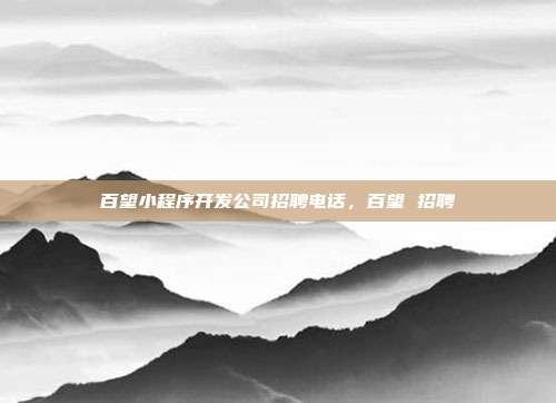 百望小程序开发公司招聘电话,百望 招聘
