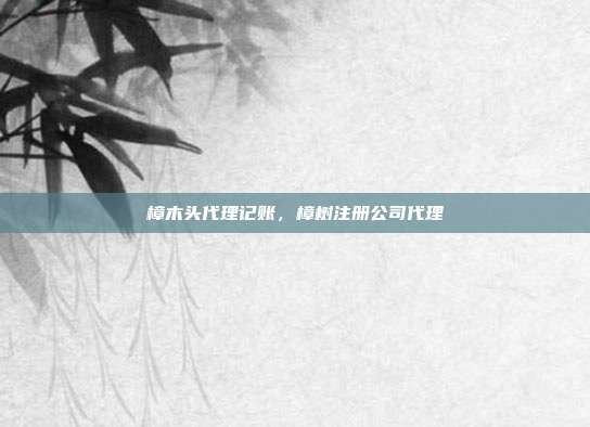 樟木头代理记账,樟树注册公司代理