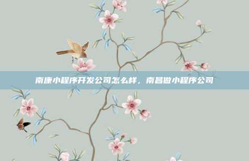 南康小程序开发公司怎么样，南昌做小程序公司