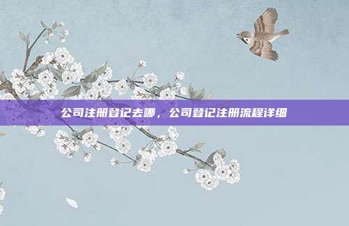 公司注册登记去哪,公司登记注册流程详细