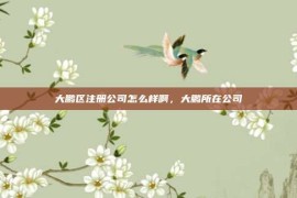 大鹏区注册公司怎么样啊，大鹏所在公司