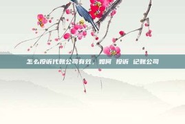 怎么投诉代账公司有效，如何 投诉 记账公司