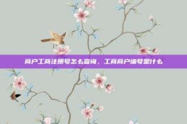 商户工商注册号怎么查询，工商商户编号是什么