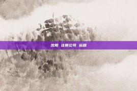 沈阳 注册公司 运营