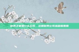 财务之家是什么公司，注册财务公司流程和费用