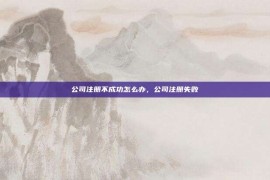 公司注册不成功怎么办，公司注册失败