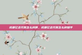 成都亿企代账怎么样啊，成都亿企代账怎么样知乎