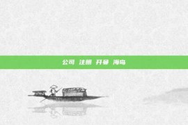 公司 注册 开曼 海岛