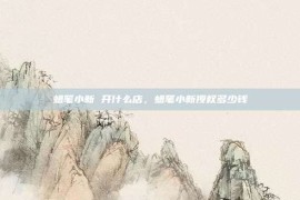 蜡笔小新 开什么店，蜡笔小新授权多少钱