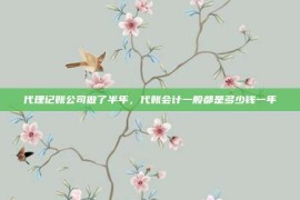 代理记账公司做了半年，代账会计一般都是多少钱一年