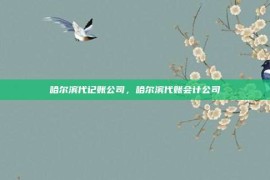 哈尔滨代记账公司，哈尔滨代账会计公司