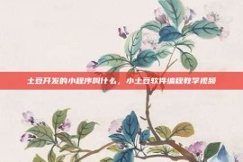 土豆开发的小程序叫什么，小土豆软件编程教学视频