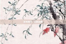 艾为电子 工商注册