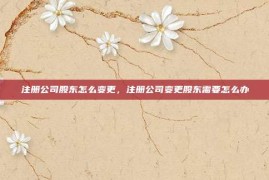 注册公司股东怎么变更，注册公司变更股东需要怎么办