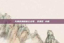 天津武清微信公众号，武清区 小镇
