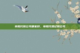 阜阳代账公司哪家好，阜阳代理记账公司