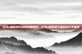 公司u盾财务可以随身携带吗，公司u盾有两个是放会计手里吗
