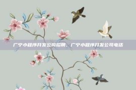 广宁小程序开发公司招聘，广宁小程序开发公司电话