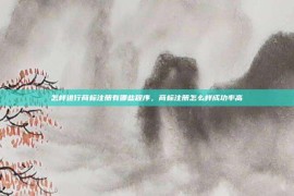 怎样进行商标注册有哪些程序，商标注册怎么样成功率高