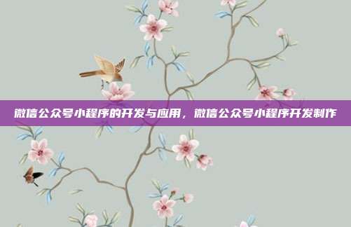 微信公众号小程序的开发与应用，微信公众号小程序开发制作