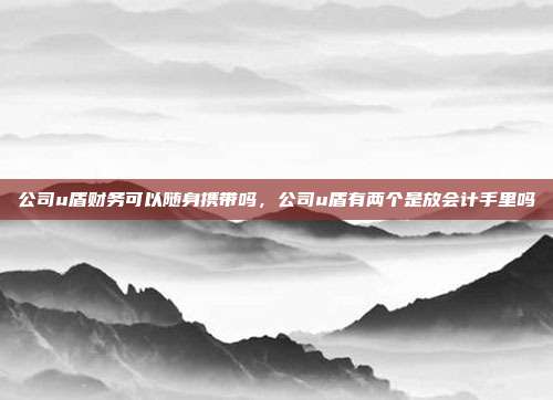 公司u盾财务可以随身携带吗，公司u盾有两个是放会计手里吗