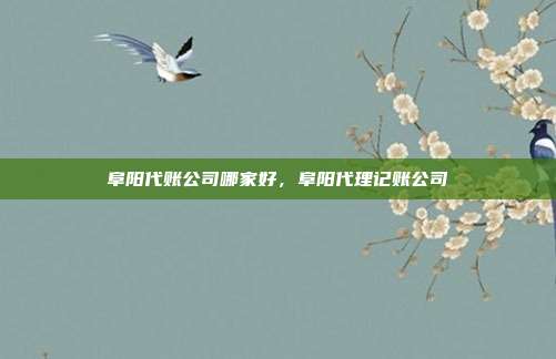 阜阳代账公司哪家好，阜阳代理记账公司