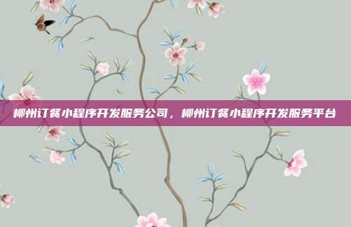 柳州订餐小程序开发服务公司，柳州订餐小程序开发服务平台